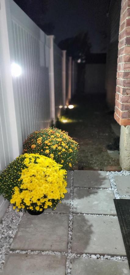 Eleg Stu Apt With Lux Amnts Steps Frm Nautical Mile Freeport Exteriör bild